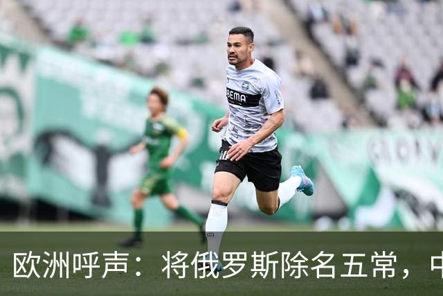 欧洲呼声：将俄罗斯除名五常，中国合法地位获认可